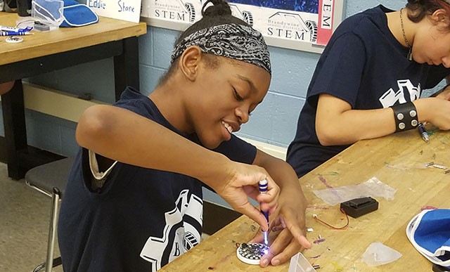 Brandywine School District Case Study