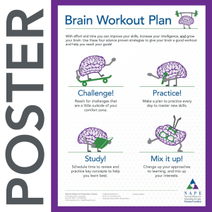 NAPE's Brain Workout Plan Infographic Poster
