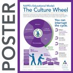 NAPE's Culture Wheel Infographic Poster