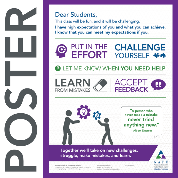 NAPE's Dear Student... High Expectations Poster
